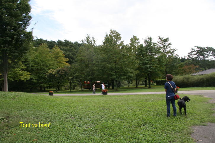 e0165577_12988.jpg