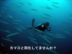 南国なのに冷たい!?_f0144385_21451114.jpg