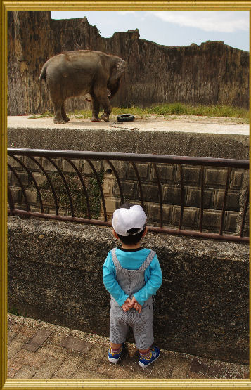 続）佐世保　いしだけ動植物園へ行ったった～2010秋_c0152288_9162421.jpg