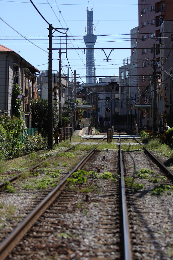 「　488ｍ 」　東京スカイツリーと都電　2010/10/11_f0164989_0102134.jpg