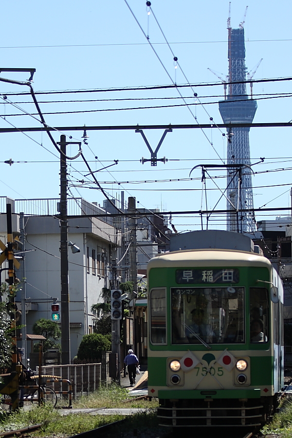 「　488ｍ 」　東京スカイツリーと都電　2010/10/11_f0164989_071450.jpg