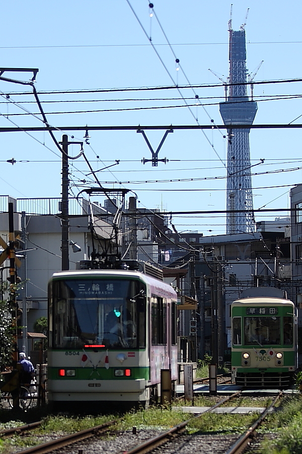 「　488ｍ 」　東京スカイツリーと都電　2010/10/11_f0164989_0948.jpg