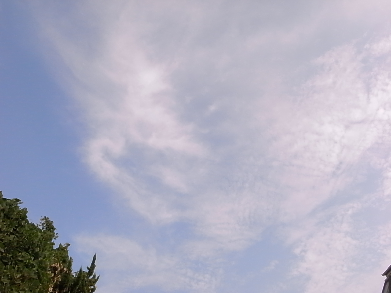 秋空 雑感_d0122797_17311923.jpg