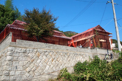d0090101_20241036.jpg