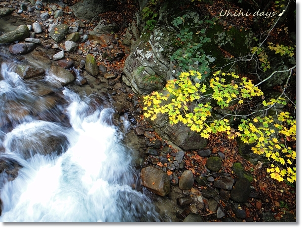 奥鬼怒の秘湯　加仁湯　＆　八丁の湯_f0179404_2240546.jpg