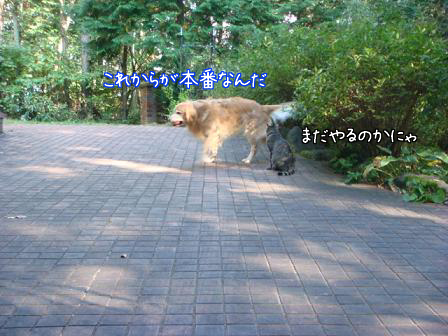 f0064906_16131110.jpg