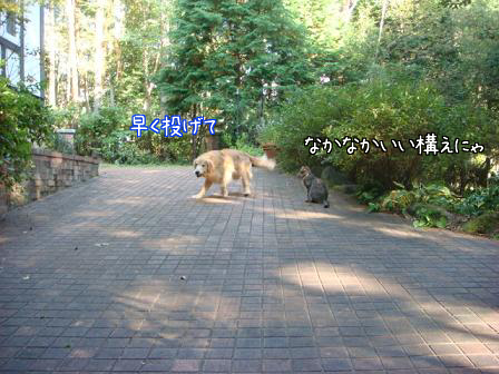 f0064906_16132375.jpg
