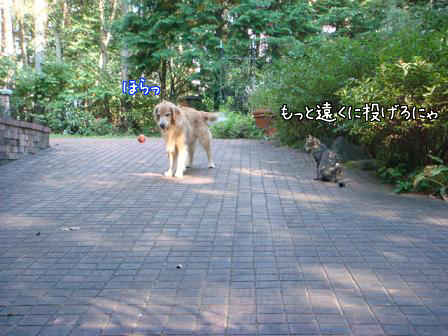 f0064906_16134664.jpg
