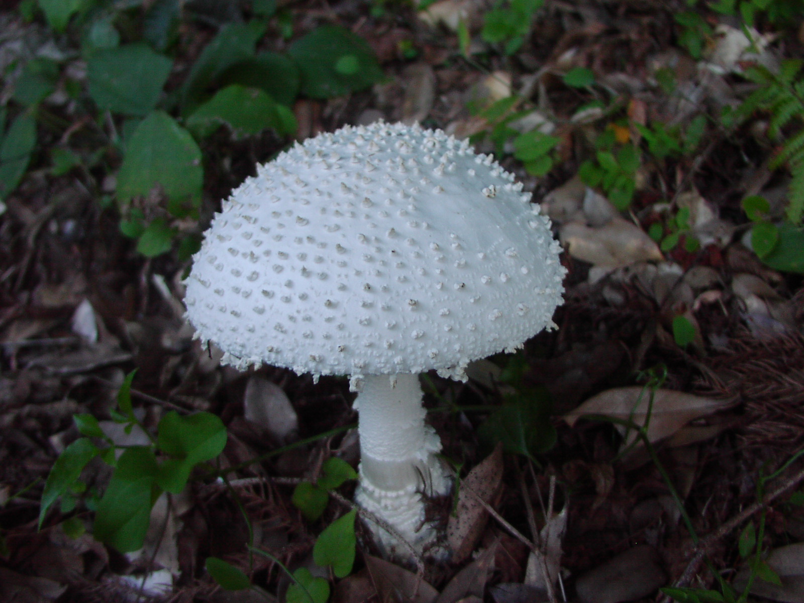 f0164410_228357.jpg