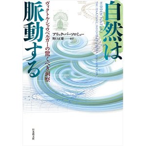 阿部修治博士vs槌田敦博士：日本における知られざる地球温暖化詐欺論争_e0171614_1435711.jpg