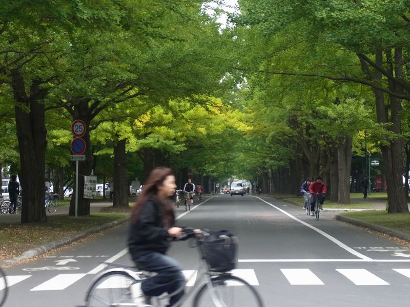 もっと寒い札幌　イチョウ並木黄葉始まる_c0025115_20195755.jpg