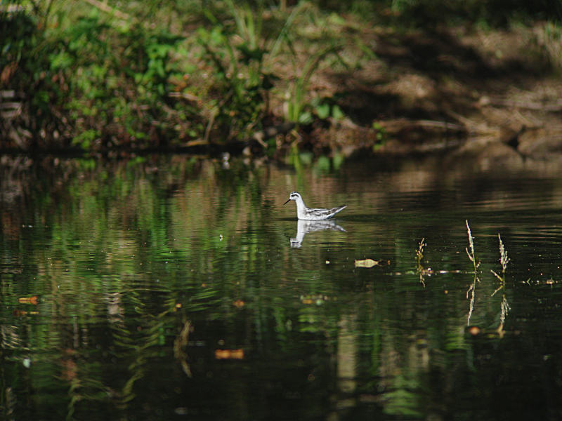 A公園Pにて_f0051915_2150568.jpg