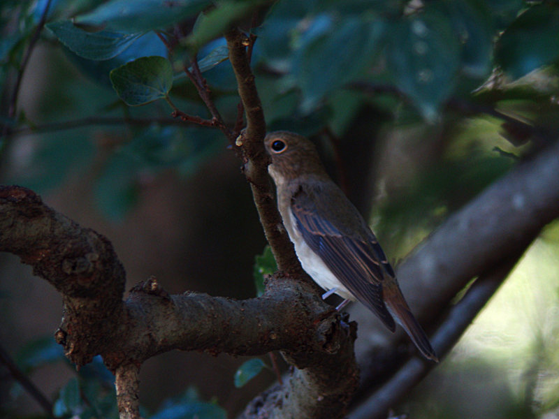 A公園Pにて_f0051915_221037.jpg