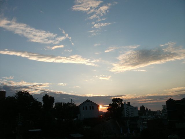 e0052716_141776.jpg