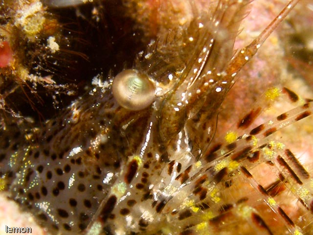 f0221418_19184444.jpg