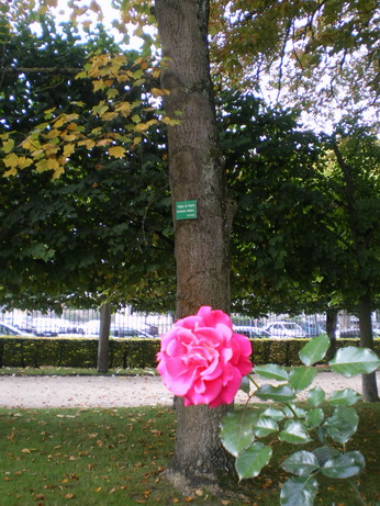 c0124619_3314646.jpg