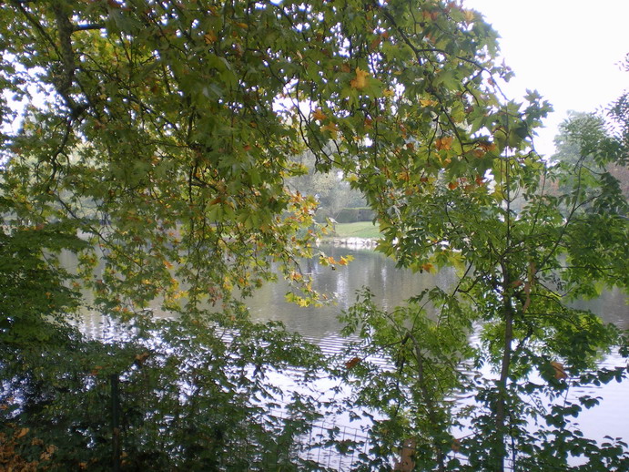 c0124619_3325342.jpg
