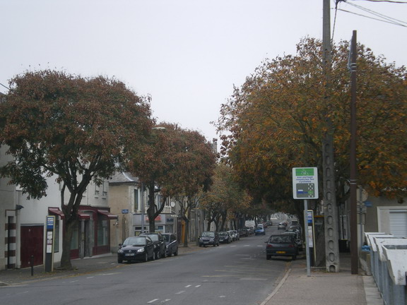 c0124619_3345851.jpg