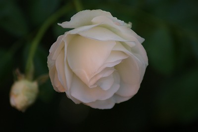 f0170524_9364860.jpg