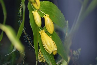 f0170524_9382429.jpg
