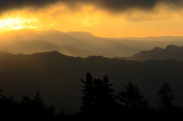 c0228945_65910.jpg