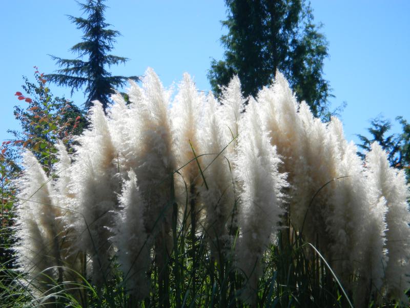 a0170146_2039215.jpg