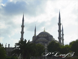 c0176651_1925485.gif