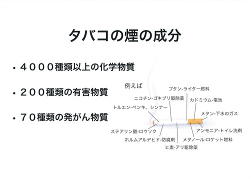 たばこの真実3._f0045052_18462933.jpg