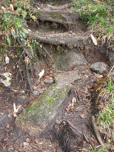 c0037553_1052090.jpg