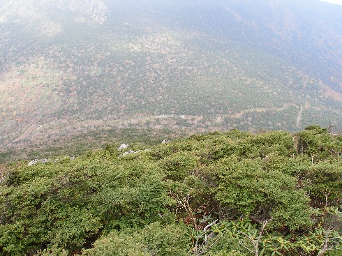 c0037553_10571562.jpg