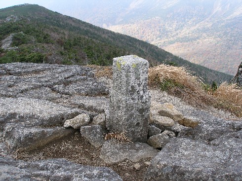 c0037553_1105453.jpg