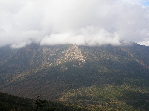 c0037553_1155979.jpg