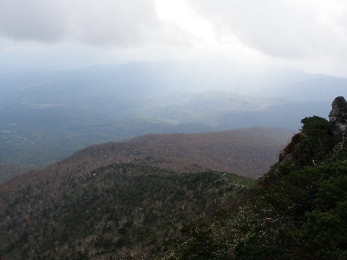 c0037553_1191676.jpg