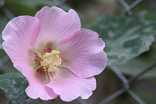 b0016557_1091651.jpg