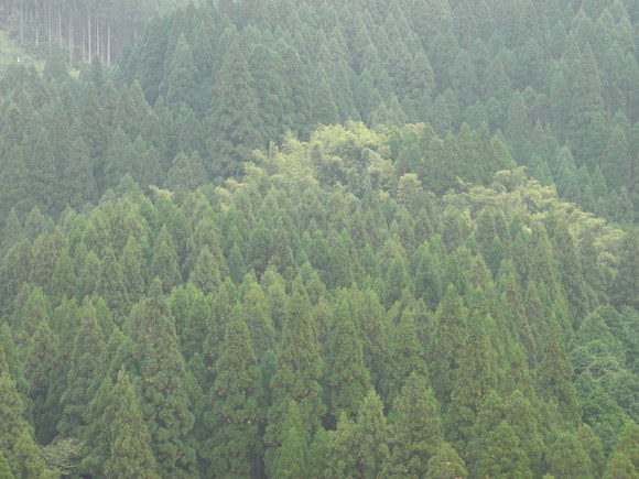 f0201157_97393.jpg