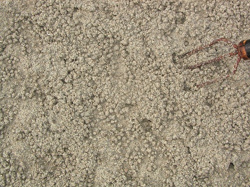c0180460_1358491.jpg