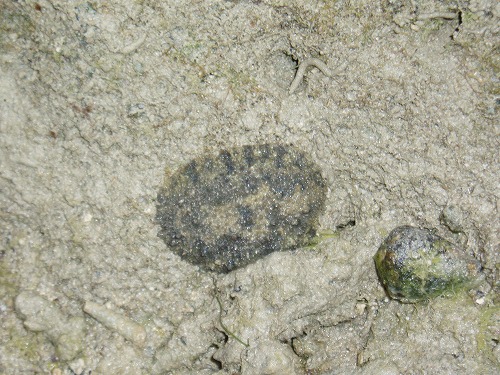 c0180460_1404152.jpg