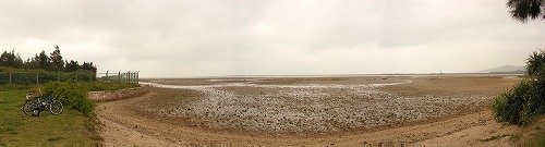 c0180460_1428679.jpg