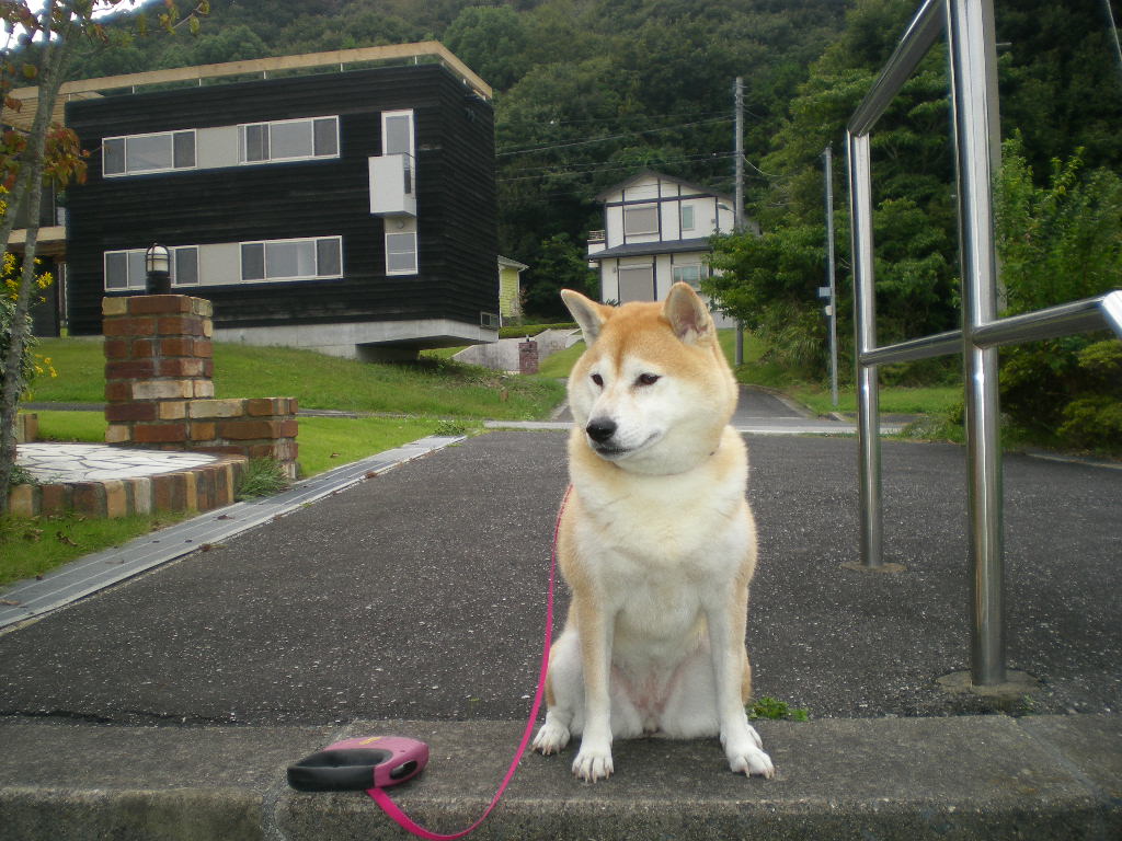 2010年10月15日(金)今日は何の字寝?_f0060461_11225687.jpg