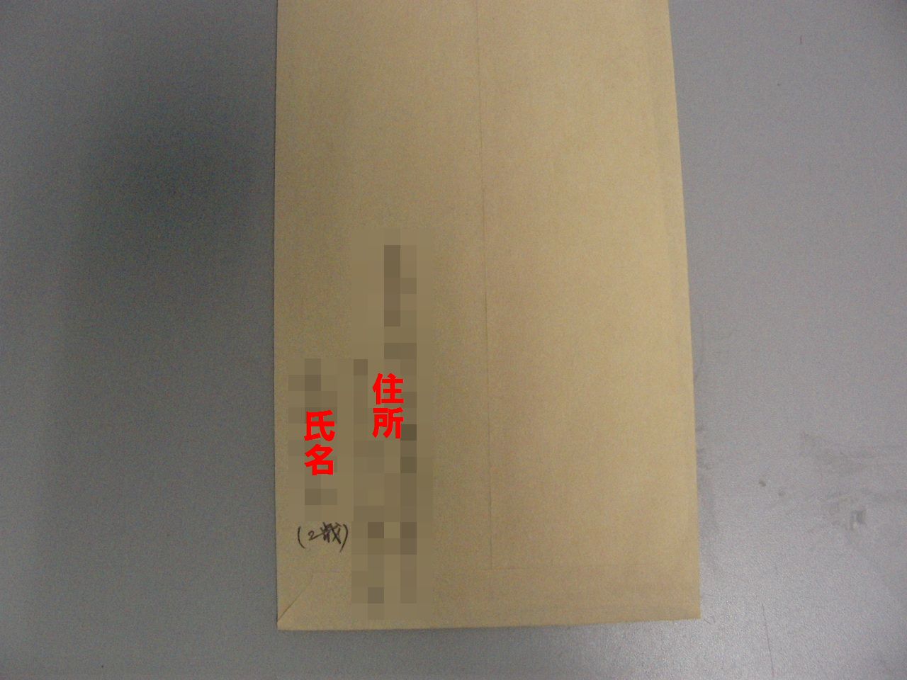 ディズニーランドへの手紙 親父似の一人娘成長日記 ディズニーランドへの手紙 親父似の一人娘成長日記