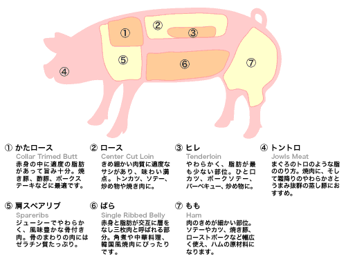 疲労回復に役立つ豆知識 6cket9ube 10