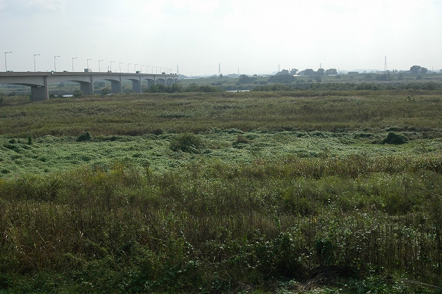 c0212083_16465250.jpg