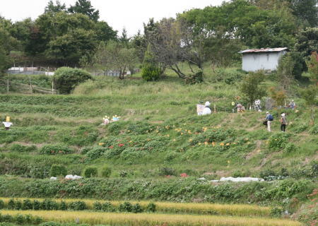 明日香路へ_f0085889_1522931.jpg