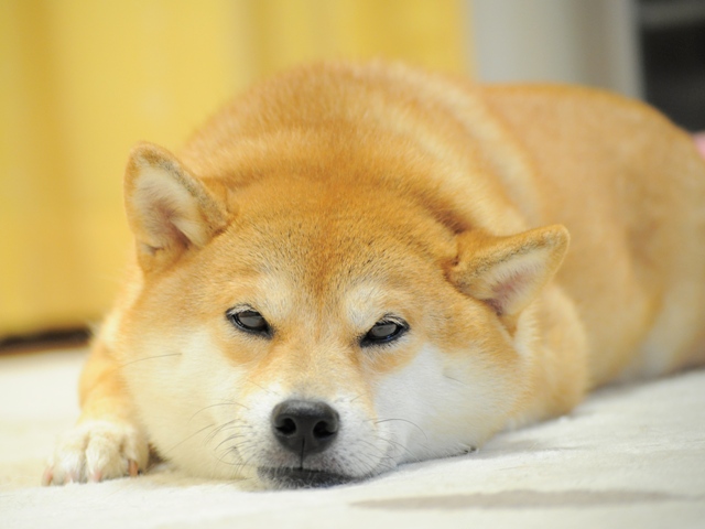 仲良しの秘密_a0126590_456511.jpg