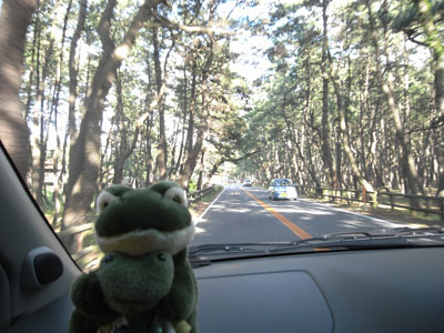 b0020695_23455438.jpg