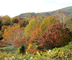 岩手･秋田の紅葉探索_c0220597_7133687.jpg