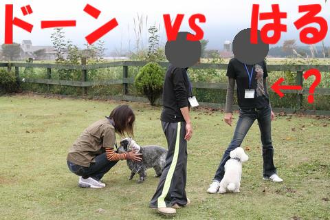 【遊ぼう会　ＩＮ　朝霧】パート４♪v（●＾o＾●）v_e0100007_13232520.jpg