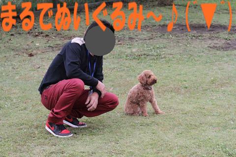 【遊ぼう会　ＩＮ　朝霧】パート４♪v（●＾o＾●）v_e0100007_13241852.jpg