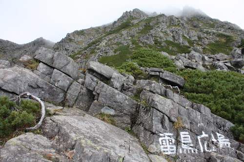 b0093515_7453889.jpg