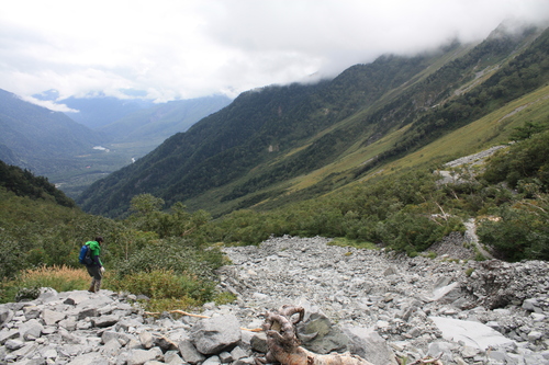 b0093515_81460.jpg